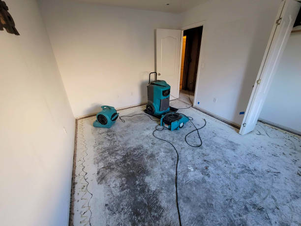 Best Water damage mitigation services  in Lakemont, PA