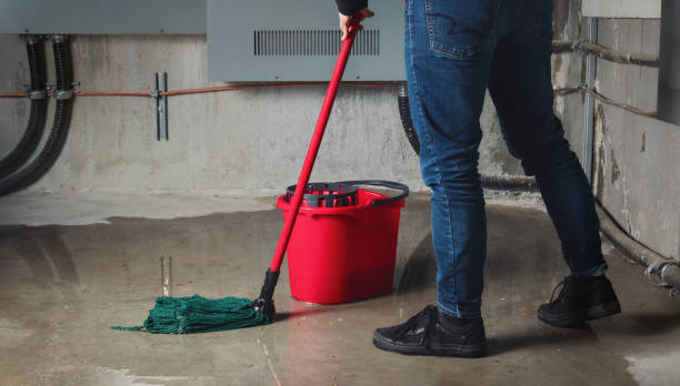 Best Carpet water damage restoration  in Lakemont, PA