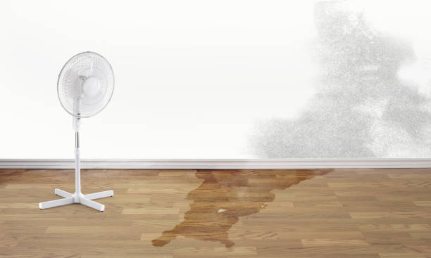 Best Residential water damage restoration  in Lakemont, PA