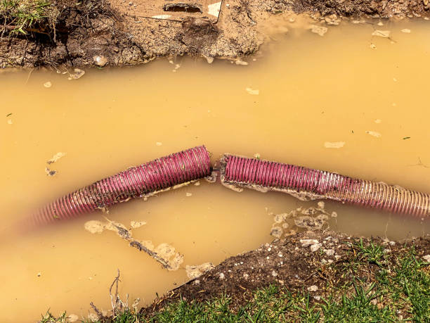Best Flood restoration services  in Lakemont, PA