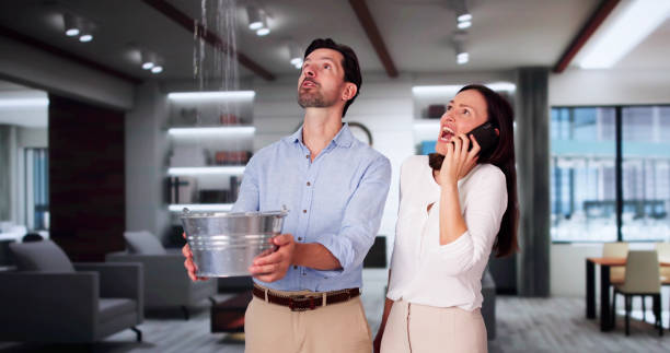 Best Local water damage restoration  in Lakemont, PA